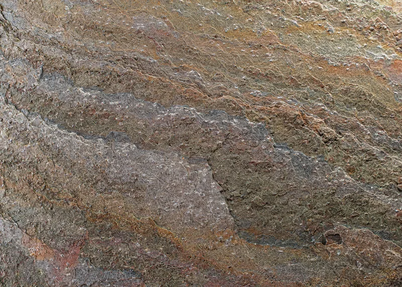 Wild Fire gallery-1